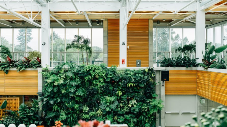 How Green Walls Can Improve Air Quality and Energy Efficiency