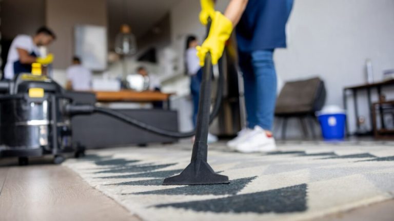 Demystifying Home Depot's Carpet and Dehumidifier Rental Services in Toronto