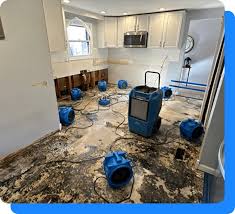 How Markham property owners can plan moisture cleanup